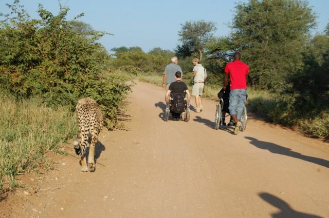 Epic Enabled accessible safari in the Kruger