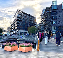 Oslo waterfront boardwalk with people crossing pedestrian bridge, pink flowers in wooden planters and modern apartment buildings with balconies in the background.